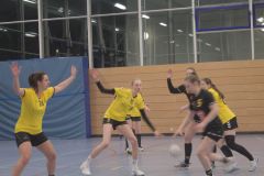 Die Damen II der Handball-Füchse Scheyern im Heimspiel gegen DJK Rohrbach