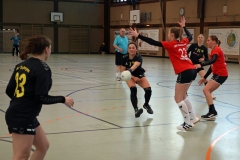 Die Damen I der Handball-Füchse Scheyern im Auswärtsspiel gegen Schrobenhausen