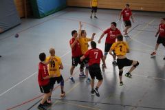 HFS-Herren gegen TSV Rottenburg
