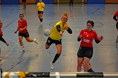 Die Damen I der Handball-Füchse Scheyern im Heimspiel gegen Mainburg