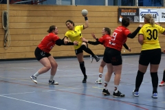 Die Damen I der Handball-Füchse Scheyern im Heimspiel gegen Mainburg