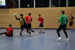 Die Herren I der Handball-Füchse Scheyern im Heimspiel gegen Mainburg