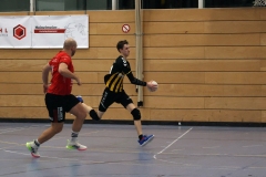 Die Herren I der Handball-Füchse Scheyern im Heimspiel gegen Mainburg