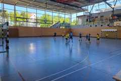 Die Minis I und Minis II der Handball-Füchse Scheyern beim Fuchs-Cup 2023