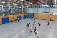 Die Herren II der Handball-Füchse Scheyern im Heimspiel gegen Schwab/kirchen