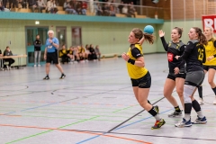 Die Damen der Handball-Füchse im Auswärtsspiel gegen Rohrbach