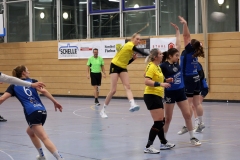 Die Damen I der Handball-Füchse Scheyern im Heimspiel gegen Simbach