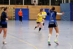 Die Damen I der Handball-Füchse Scheyern im Heimspiel gegen Simbach