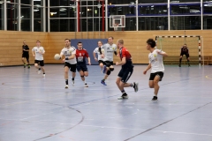 Die Herren I der Handball-Füchse Scheyern im Heimspiel gegen Donau/Paar