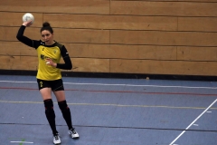 Die Damen der Handball-Füchse im Heimspiel gegen den TSV Gaimersheim