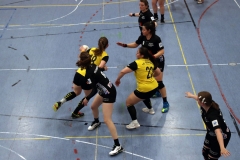 Die Damen der Handball-Füchse im Heimspiel gegen den TSV Gaimersheim