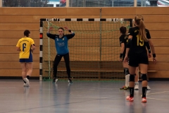 Die Damen der Handball-Füchse Scheyern im Heimspiel gegen den MTV Pfaffenhofen II