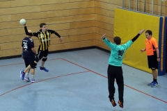 Die Herren I der Handball-Füchse Scheyern im Heimspiel gegen den TSV Indersdorf