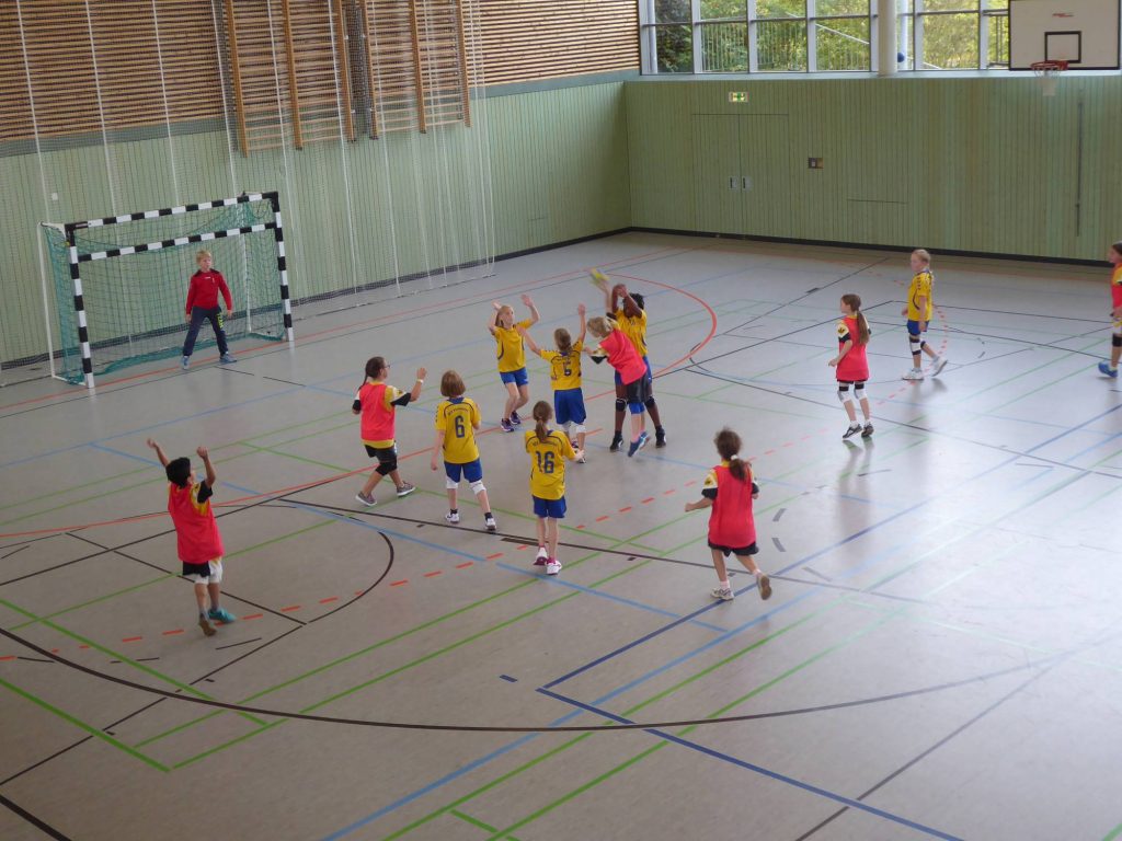 Die weibliche E-Jugend der Handball-Füchse Scheyern beim Turnier in Rohrbach.