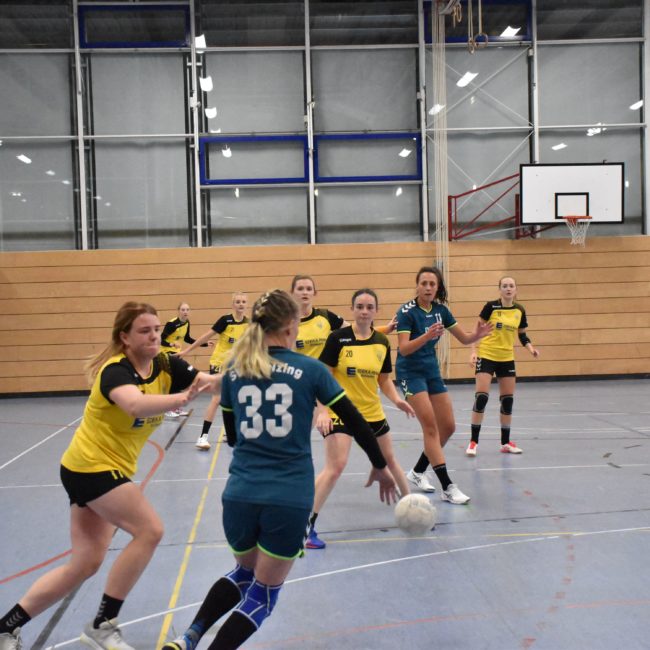 Die Damen der Handball-Füchse Scheyern im Spiel gegen SVA Palzing