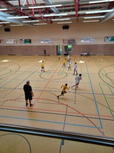 Die männliche D der Handball-Füchse beim Bezirksliga-Qualiturnier