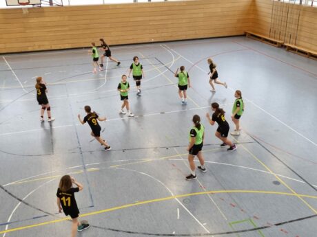 Die weibliche D der Handball-Füchse Scheyern im Heimspiel gegen Gaimersheim