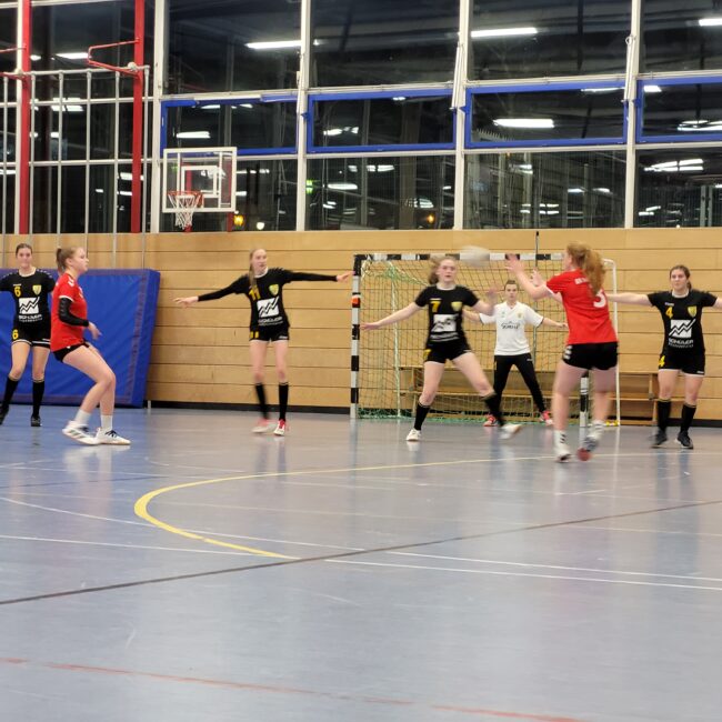 Die weibliche A der Handball-Füchse im Heimspiel gegen Schrobenhausen