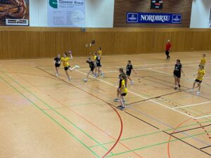 Die weibliche D der Handball-Füchse im Auswärtsspiel gegen Gaimersheim
