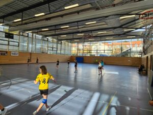 Die weibliche D I der Handball-Füchse Scheyern im Heimspiel gegen Gaimersheim