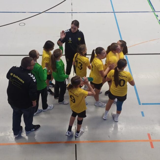 Die weibliche D I der Scheyerer Füchse im Auswärtsspiel gegen Mainburg